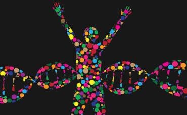 Ανακοίνωση Σχετικά με τις Δηλώσεις Μητσοτάκη Περί «μόνο δύο φύλων»